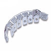 Vamp it Up: Iced Out Gold & Silver Plated Vampire Teeth Grillz with Micro Pave CZ Stones