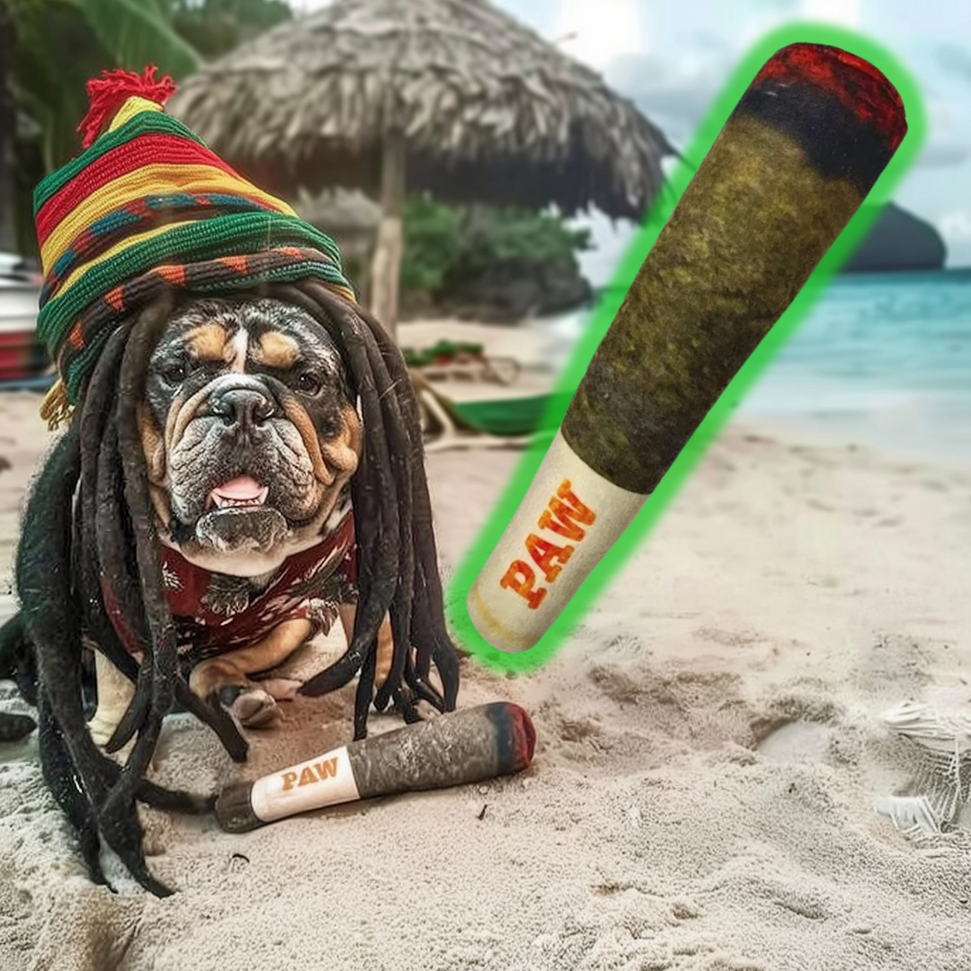 🐶 Funny Plush Squeaky Dog Toy – The Ultimate Gift for Your Pup! 🎉